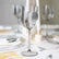 Smokey 12 oz Disposable Wine Glasses