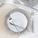 White - Silver Round Plastic Plates